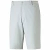 Puma Dealer 10" Shorts - Ash Grey
